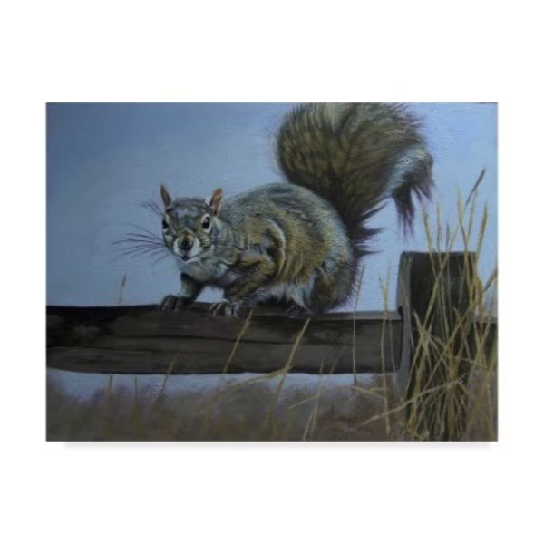Rusty Frentner 'Squirrel' Canvas Art, 14x19, Trademark Fine Art, Mfr#: ALI33072-C1419GG